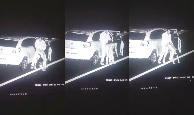 Desi Cpl Fucked In Road